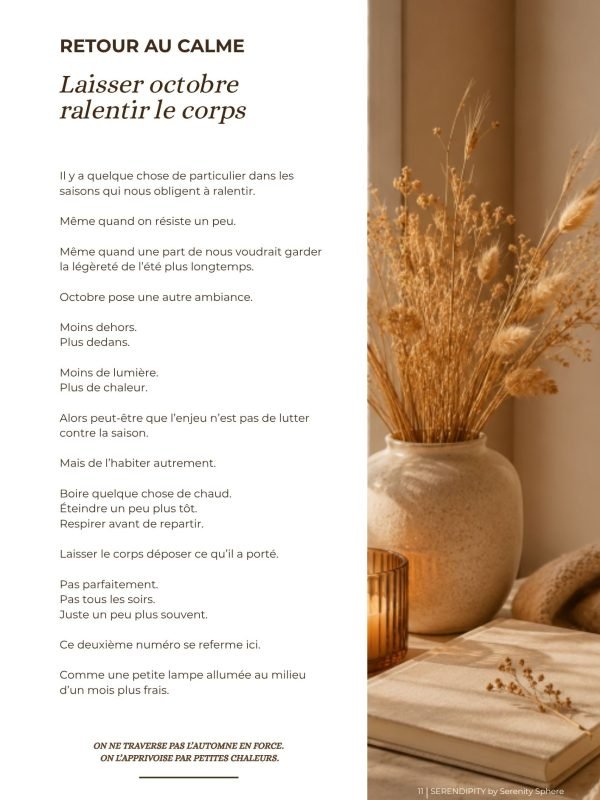 P11_magazine Serendipity_oct 2026
